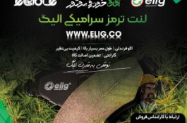 لنت ترمز سرامیکی الیگ